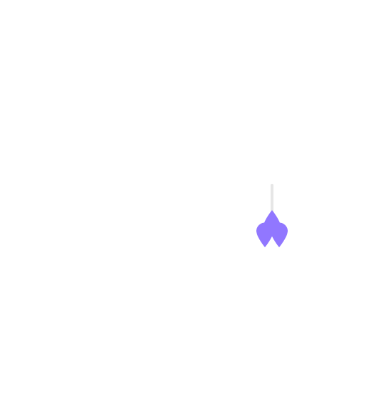 earrings14