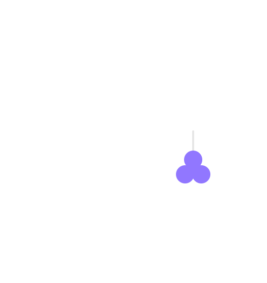 earrings3