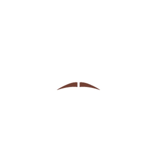facialhair13